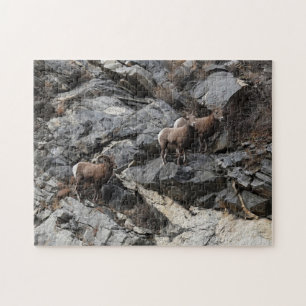 Puzzle Desafiando a las ovejas de Bighorn Georgetown Colo