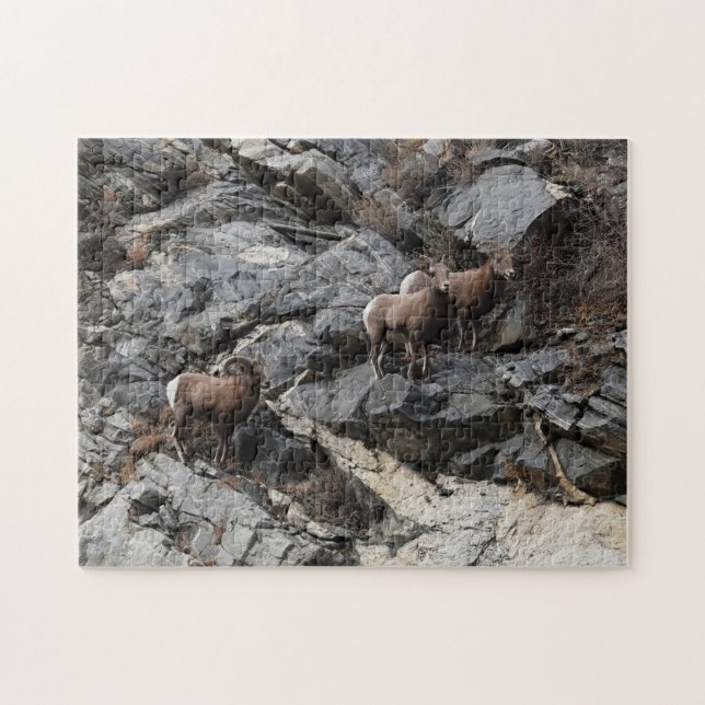 Puzzle Desafiando a las ovejas de Bighorn Georgetown Colo (Horizontal)