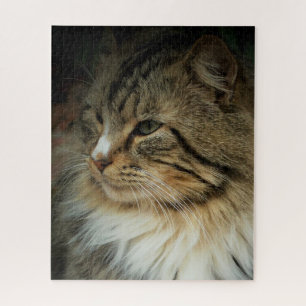 Puzzle Desafiando al gato forestal noruego