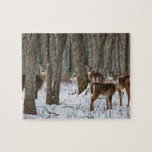 Puzzle Desafiante en invierno de 10 x 8