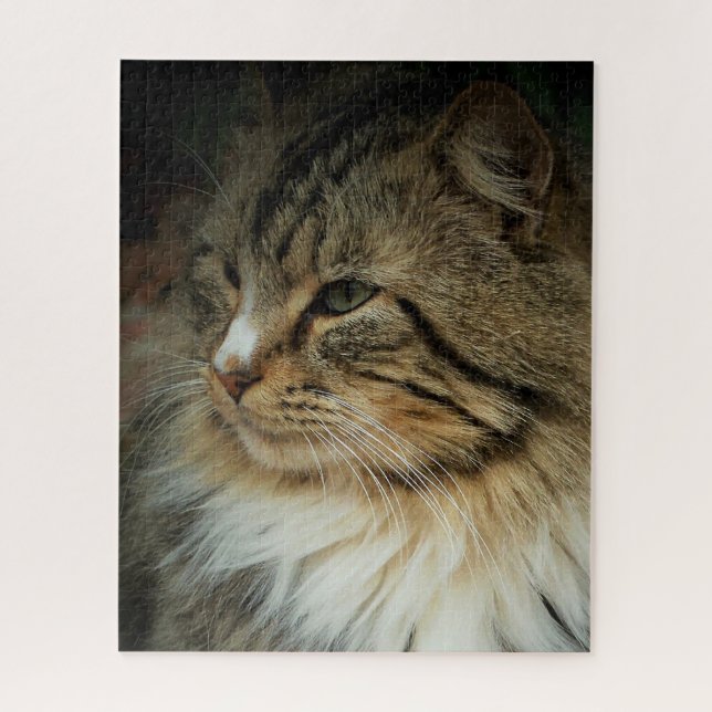 Puzzle Desafiante gato del bosque noruego (Vertical)