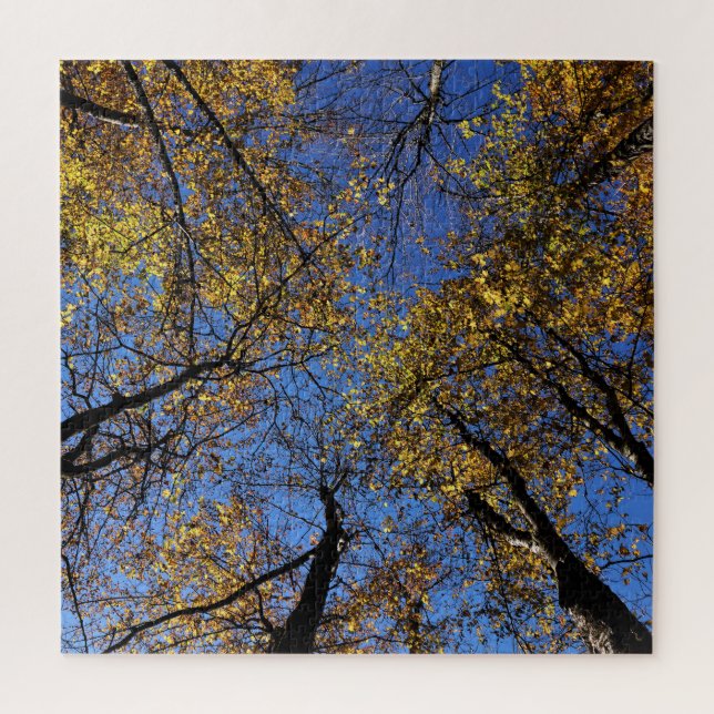 Puzzle Desafíos Extremados De La Naturaleza Para Los Adul (Vertical)