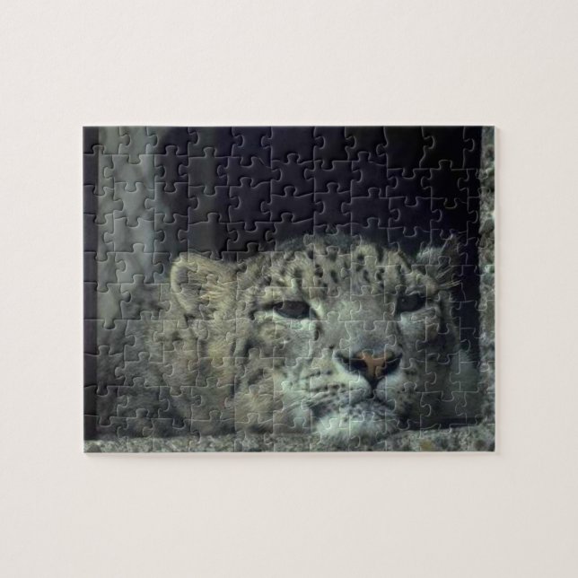Puzzle Descanso del leopardo de la nieve (Horizontal)