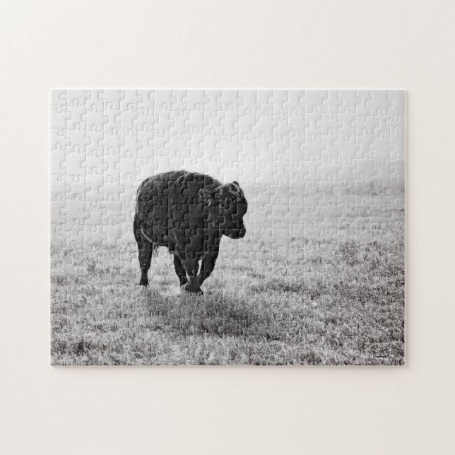 Puzzle Desconcierte 11x14 Bull en el hielo de Amanda (Horizontal)
