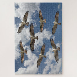 Puzzle Desfile de Osprey en el cielo