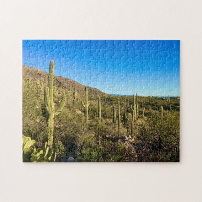 Puzzle Desierto de Arizona (Horizontal)