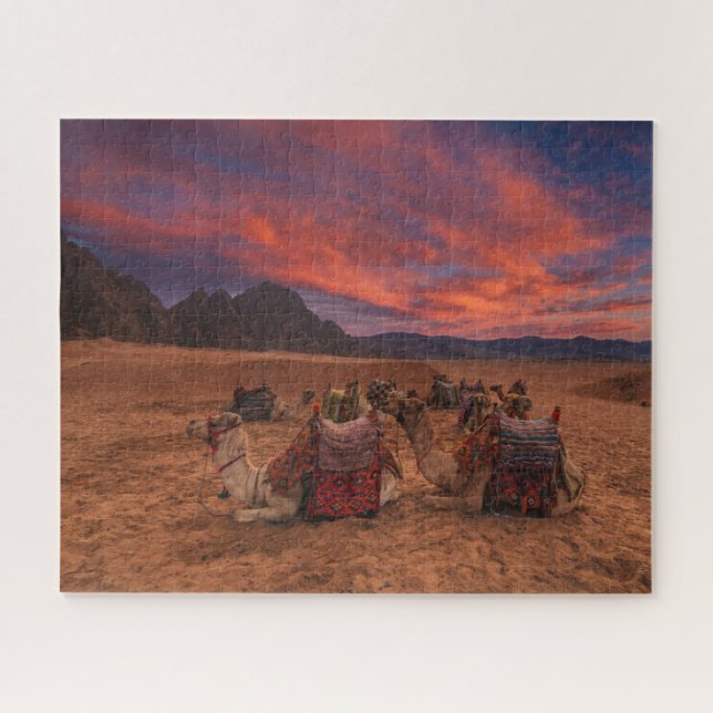 Puzzle Desiertos | Camels Sinai Mountains Egipto (Horizontal)
