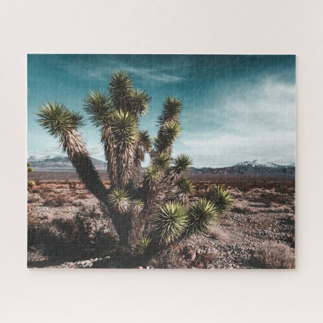 Puzzle Desiertos | Cholla Cactus (Horizontal)