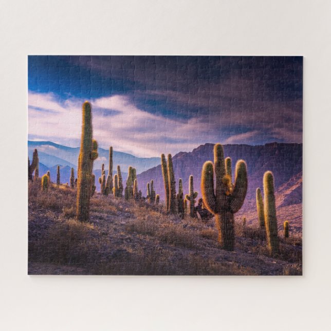 Puzzle Desiertos | Paisaje Cactus Argentina (Horizontal)