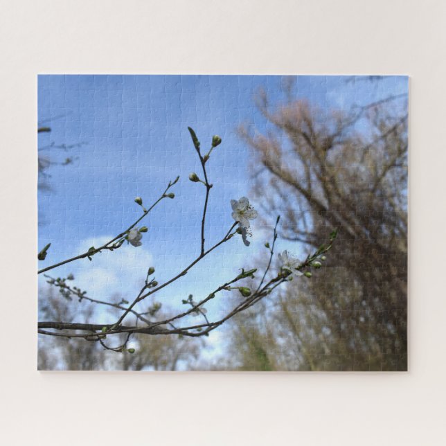 Puzzle Despertar de primavera, florecimiento de cerezos s (Horizontal)