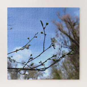 Puzzle Despertar de primavera, florecimiento de cerezos s