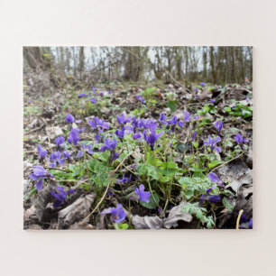 Puzzle Despertar de primavera , flores forestales , viole