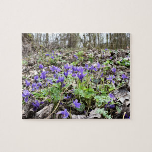 Puzzle Despertar de primavera , flores forestales , viole
