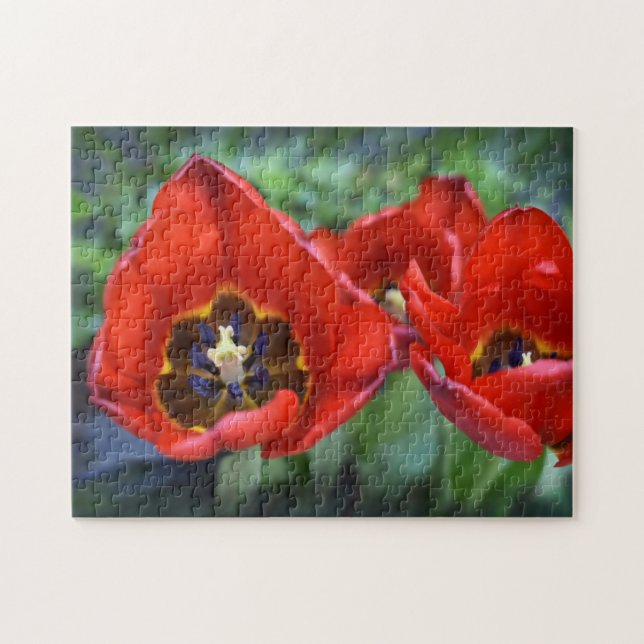 Puzzle Despertar la primavera, Tulips (Horizontal)