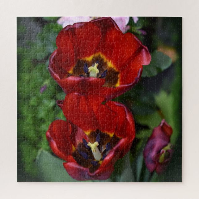 Puzzle Despertar la primavera, Tulips (Vertical)