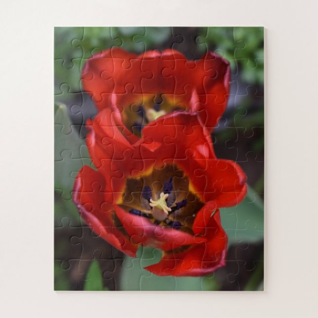 Puzzle Despertar la primavera, Tulips (Vertical)