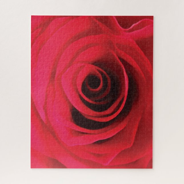 Puzzle Detalles florales de capullo de rosa roja fuego (Vertical)