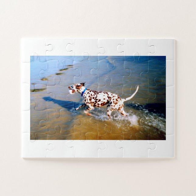 Puzzle Detectar al perro dálmata (Horizontal)