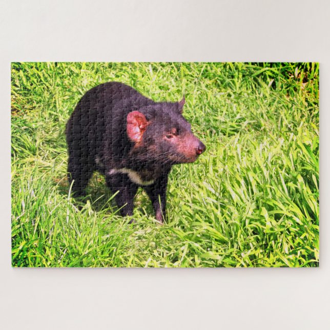 Puzzle diablo de Tasmania (Horizontal)