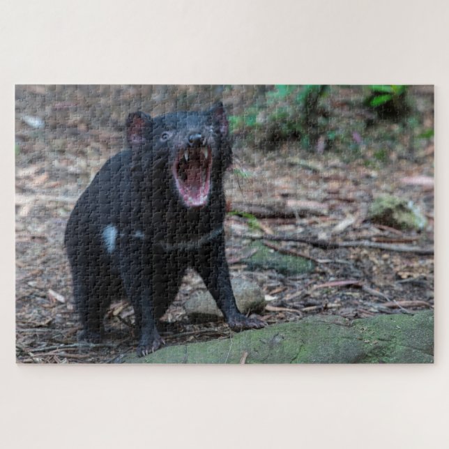 Puzzle Diablo de Tasmania en Tasmania Australia, 1014 pie (Horizontal)