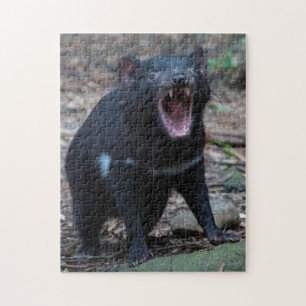 Puzzle Diablo de Tasmania en Tasmania Australia, 252 piez