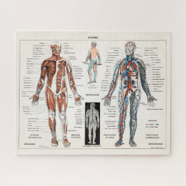 Puzzle Diagrama anatómico de antigüedades antiguas