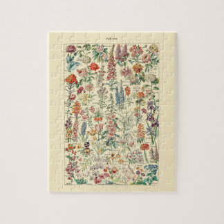 Puzzle Diagrama botánico del Jardín de Flores Silvestres
