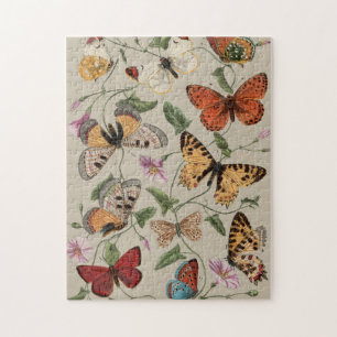 Puzzle Dibujo de la Colección de Mariposas y Polillas de