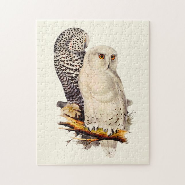 Puzzle Dibujo de lechuza veneciana (Vertical)