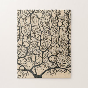 Puzzle Dibujo De Neuronas Por Santiago Ramón Y Cajal