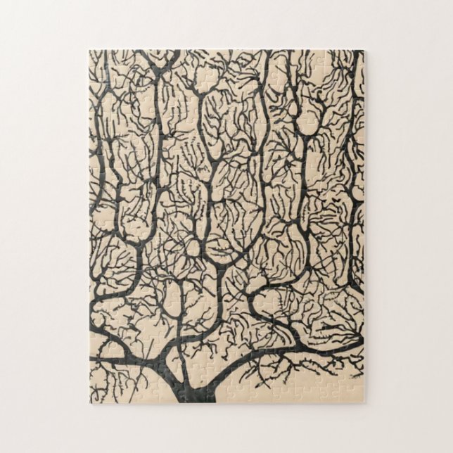 Puzzle Dibujo De Neuronas Por Santiago Ramón Y Cajal (Vertical)