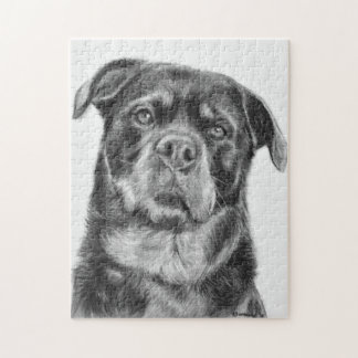 Puzzle Dibujo de Rottweiler