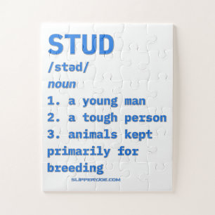 Puzzle Diccionario de animales de definición de stud de S