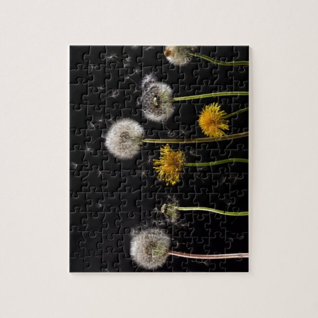 Puzzle Diente de león negro moderno (Vertical)