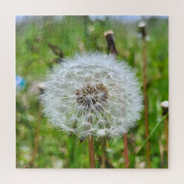 Puzzle Diente de León Perfecto – Fotografía Macro Botánic (Vertical)
