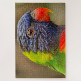 Puzzle Difícil Difícil Diorrito Loro 1.000 Piezas