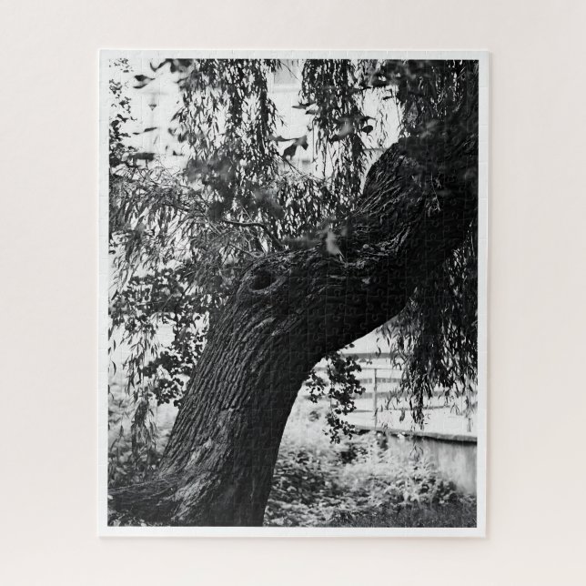 Puzzle Difícil fotografía de la naturaleza monocromática (Vertical)