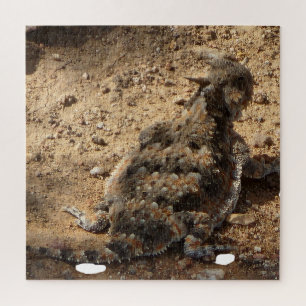 Puzzle Difícil lagarto de cuernos del desierto