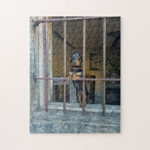 Puzzle Dificultad