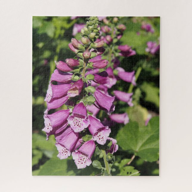 Puzzle Digitalis (Vertical)