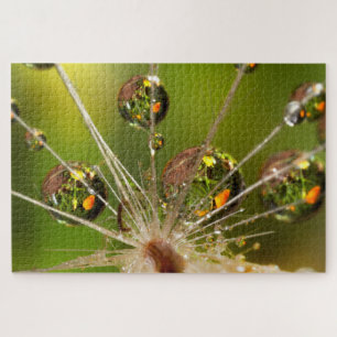 Puzzle Diluetas De Agua Y Dandelión