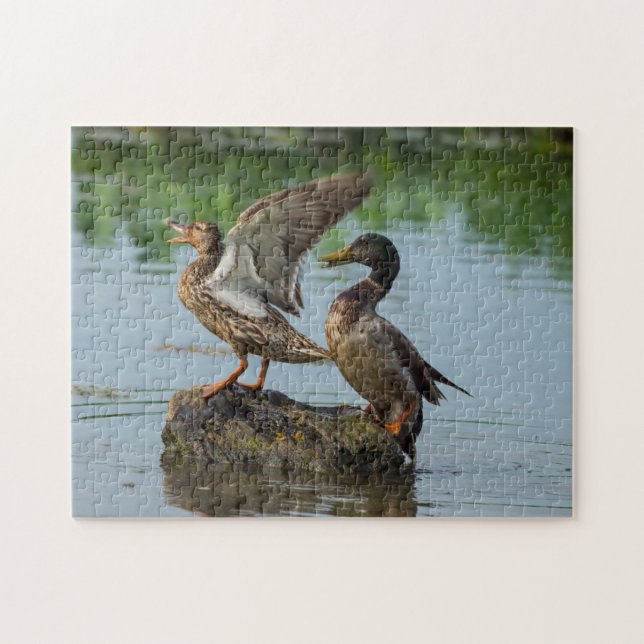 Puzzle Disculpa (Horizontal)