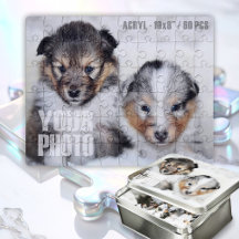 Diseñar su propio Mascota Personalizado Foto de ac