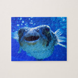 Puzzle Diseño azul Pufferfish