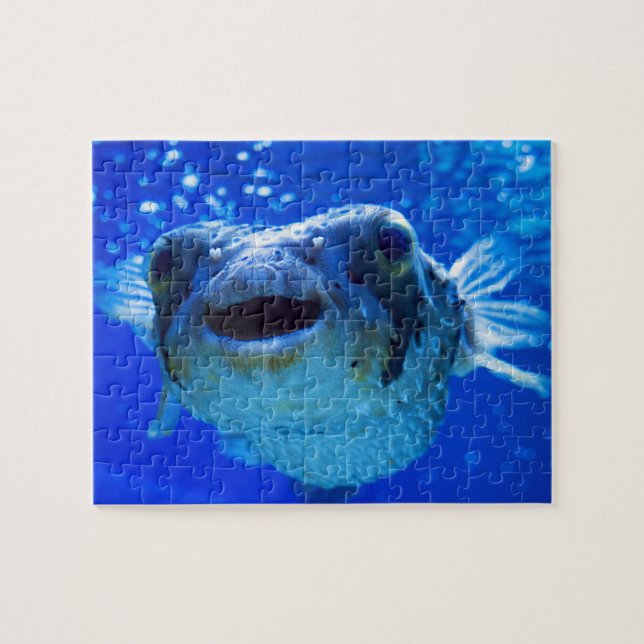 Puzzle Diseño azul Pufferfish (Horizontal)