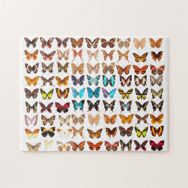 Puzzle Diseño sorprendente de la colección de mariposas (Horizontal)