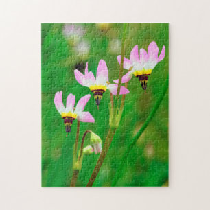 Puzzle Disparos de flores silvestres de Star en el parque