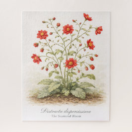 Puzzle Distracta dispersissima - The Scattered Bloom