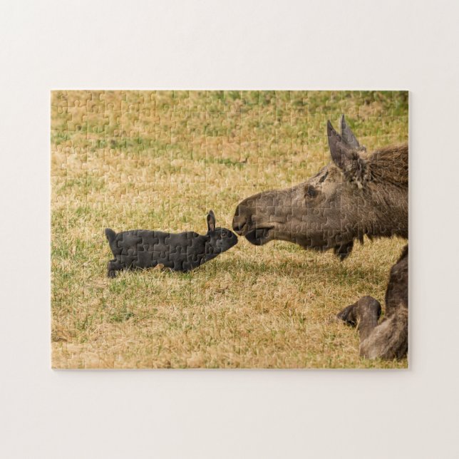 Puzzle Diversidad (Horizontal)