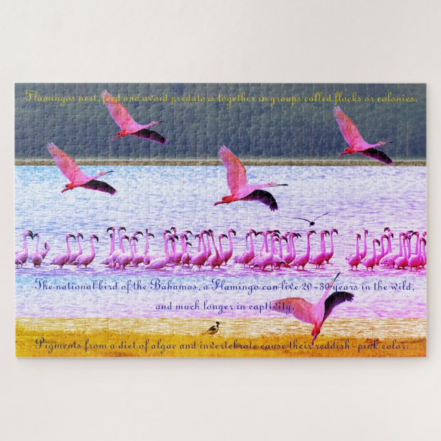 Puzzle Diversión de Flamenco  20"x30" -  1,014 Piezas (Horizontal)